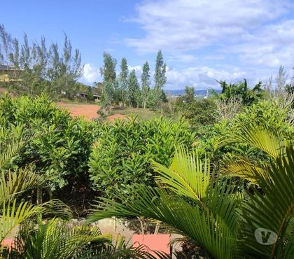Venda Loja - Fotos para Área de Lazer em Pombos