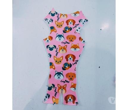 Outros serviços - images_alt_text FÊNIX TALHAÇÃO - TALHAÇÃO AUTOMATICA E EMBALAGEM