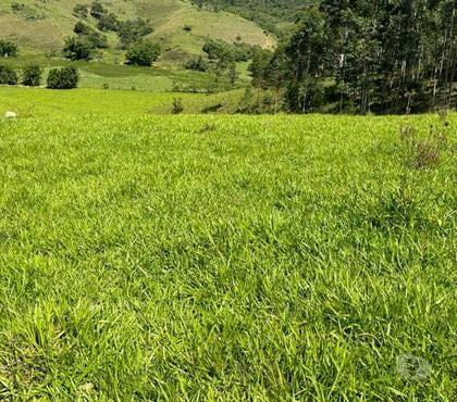 Fazendas - Sitios à venda - Fotos para Oportunidade: sítio de 30 alqueires por apenas 1.495.000,00