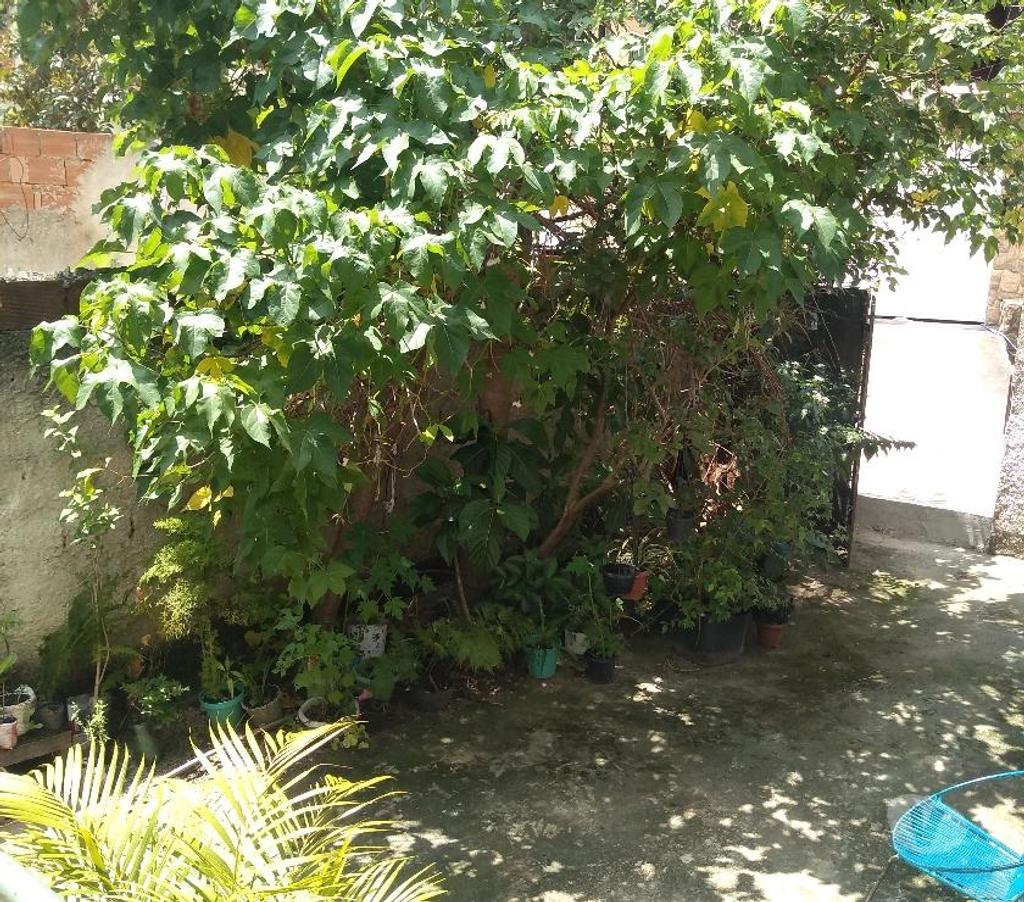 Apartamentos a venda Rio de Janeiro RJ Jacarepaguá - Fotos para Casa de dois quartos na Colônia-Taquara-Jacarepaguá