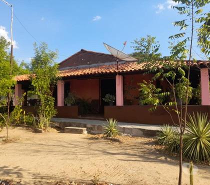 Fazendas - Sitios à venda - Fotos para Fazendinha 70ha Multiprodutiva em Floriano Piauí
