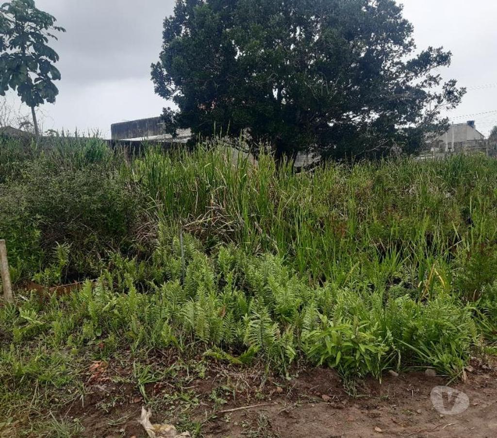 Terrenos Itanhaem SP - Fotos para IT089 Terreno - Jd Beatriz - Itanhaém