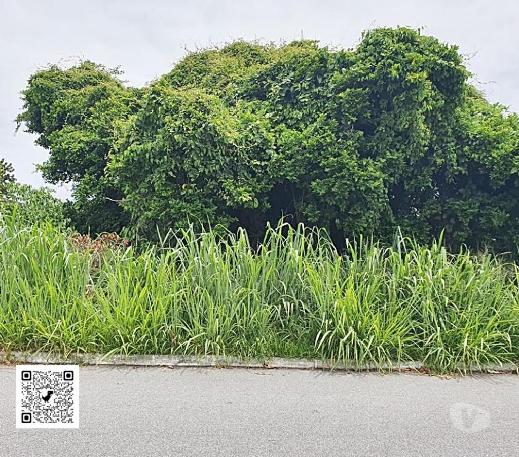 Terrenos Marica RJ - Fotos para Terreno Bem Localizado no Bairro de Lagoa em Maricá, 360m².