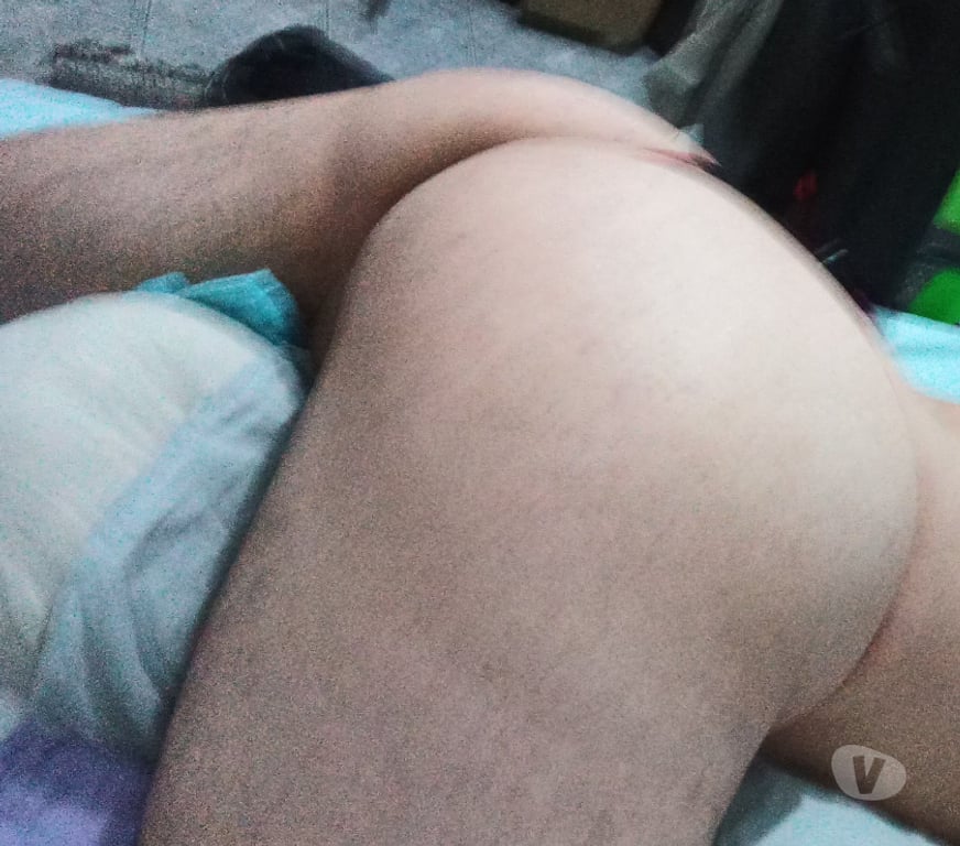 Encontros Casuais Barueri SP - Fotos para Passivo q se cadela de machos