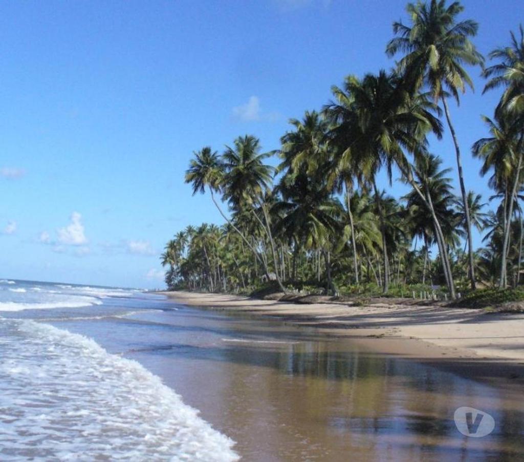 Alugar apartamentos Marau BA - Fotos para Aluguel casa (anual)