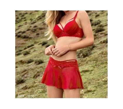 Roupas e Acessórios - Fotos para 11.907-Conjunto Lycra rendada com três peças.Sutiã tam 44