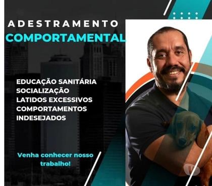 Veterinários - Serviços - Acessórios Campo Grande, Rio de Janeiro Rio de Janeiro RJ - Fotos para Adestramento de cães
