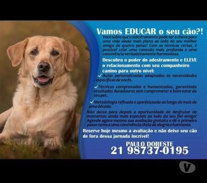 Veterinários - Serviços - Acessórios Campo Grande, Rio de Janeiro Rio de Janeiro RJ - Fotos para Adestramento de cães