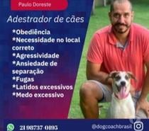 Adestrador de cães