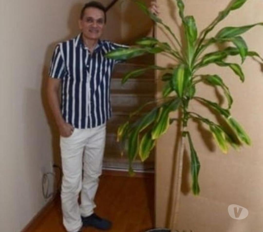 Bem-Estar - Saúde - Beleza Sao Paulo SP Saúde - Fotos para massagem relaxante - esfiliação corporal e depilação