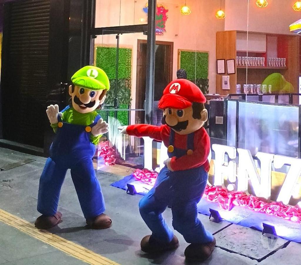 Serviços para eventos Sao Paulo SP Mooca - Fotos para Mario Bros e Luigi cover personagens vivos
