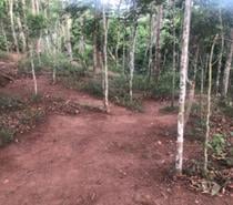 TERRENO ITAIPAVA 1.300 m² NO MELHOR CONDOMÍNIO DA REGIÃO
