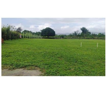 Terrenos a venda - images_alt_text Área para mini Chácara