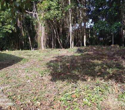 Terrenos - Lotes - Fotos para Terreno com vista para o mar