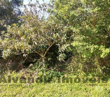 Lotes - Fotos para Terreno na praia da Pinvest em Tapes