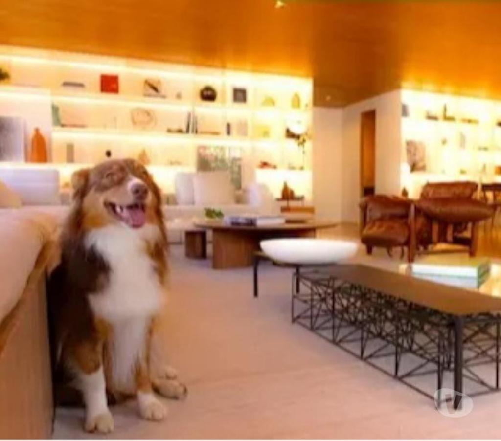 Empreendimentos imóveis Sao Paulo SP Outros Bairros Sao Paulo SP - Fotos para Apto. no Jardins a ESTHER