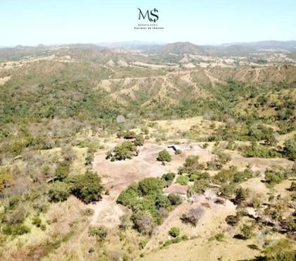 Fazendas - Sitios à venda - Fotos para Venda Fazenda 291 hectares – Padre Bernardo- Escriturada