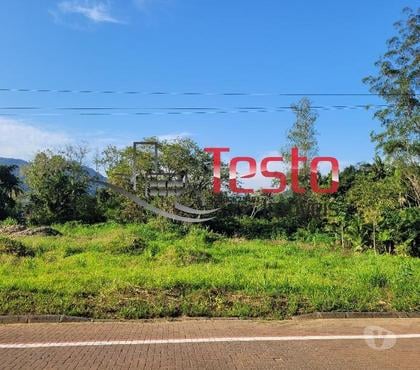 Terrenos - Fotos para Terreno Residencial em Testo Alto - Rota do Enxaime