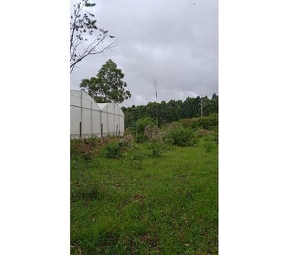 Terrenos a venda - Fotos para Terreno rural a venda Içara Rio dos Porcos Urussanga Velha