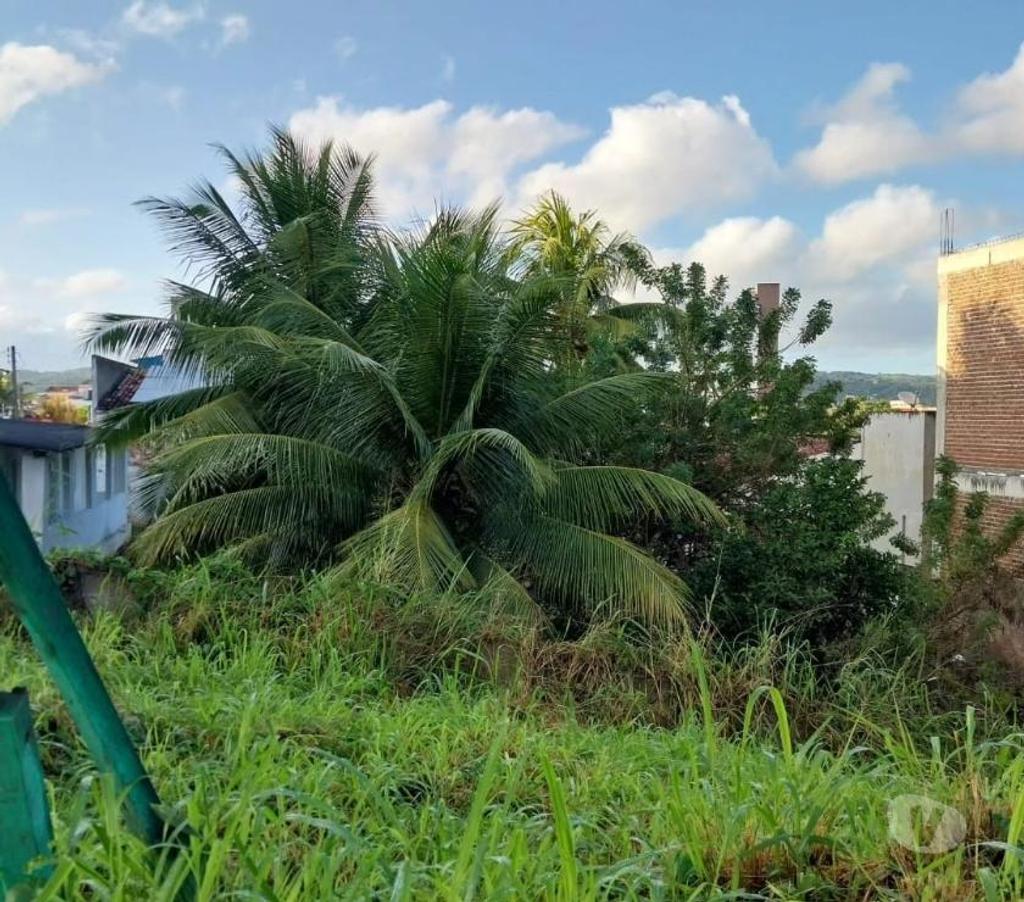 Terrenos Vitoria de Santo Antao PE - Fotos para Alugo Terreno de esquina as margens da antiga BR 232. 600m2