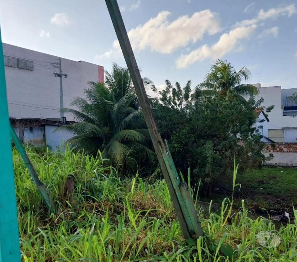 Terrenos Vitoria de Santo Antao PE - Fotos para Alugo Terreno de esquina as margens da antiga BR 232. 600m2