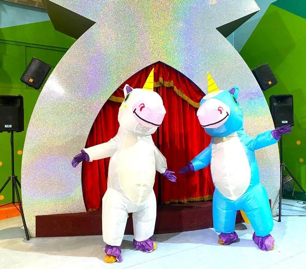 Serviços para eventos Sao Paulo SP Outros Bairros Sao Paulo SP - Fotos para Unicórnio Personagens vivos cover Festa Infantil