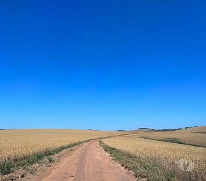 Fazendas - Sitios à venda - Fotos para Excelente fazenda para diversos fins
