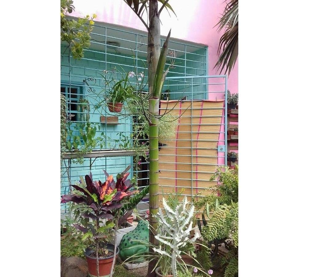 Alugar apartamentos Paulista PE - Fotos para CASA 2 Quartos 1WC Sala ampla Cozinha