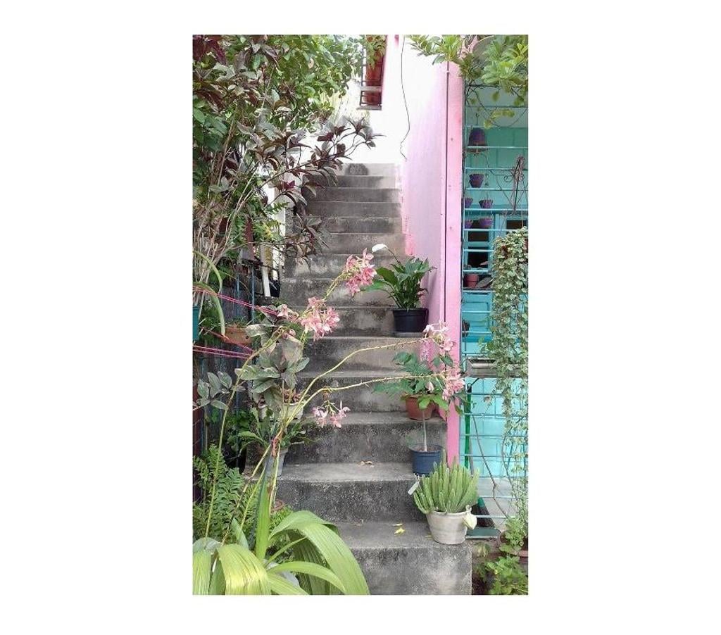 Alugar apartamentos Paulista PE - Fotos para CASA 2 Quartos 1WC Sala ampla Cozinha