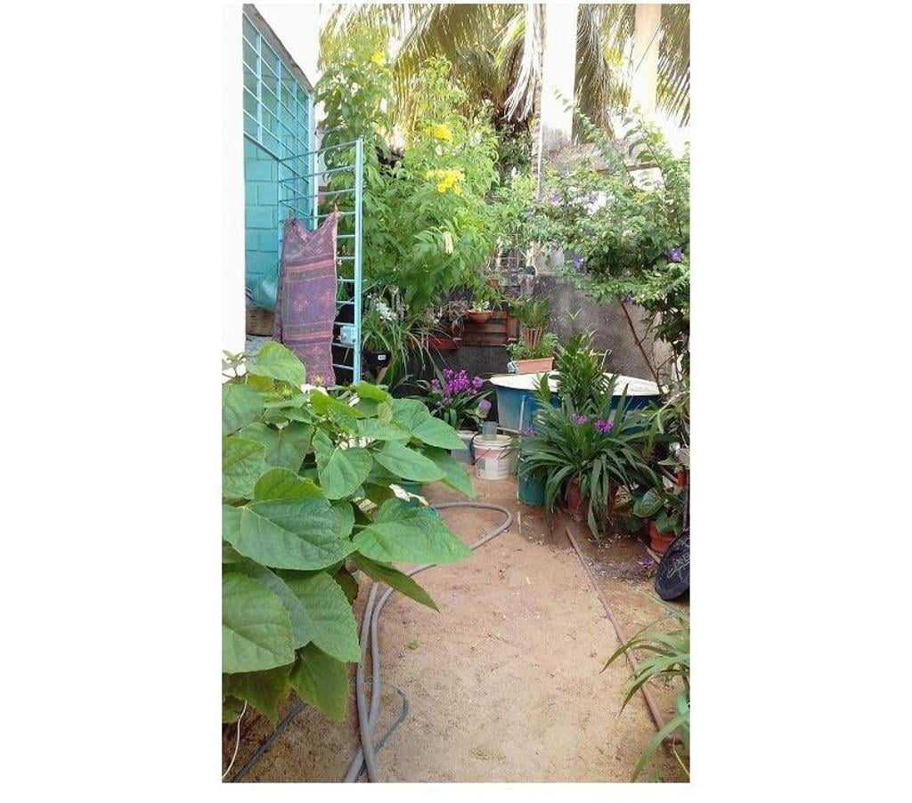 Alugar apartamentos Paulista PE - Fotos para CASA 2 Quartos 1WC Sala ampla Cozinha