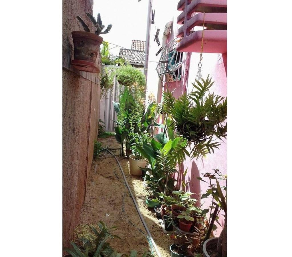 Alugar apartamentos Paulista PE - Fotos para CASA 2 Quartos 1WC Sala ampla Cozinha