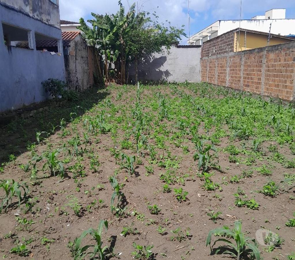Terrenos Santo Antonio de Jesus BA - Fotos para Terreno próximo da Padaria Santa Rita na Maria Preta em SAJ