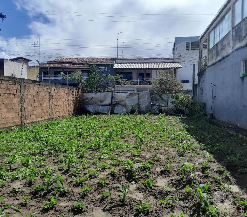 Terrenos Santo Antonio de Jesus BA - Fotos para Terreno próximo da Padaria Santa Rita na Maria Preta em SAJ