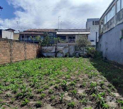 Lotes a venda - Fotos para Terreno próximo da Padaria Santa Rita na Maria Preta em SAJ