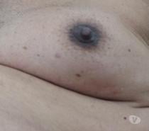 Coroa, carinhoso, Educado, Manso c local.casa.