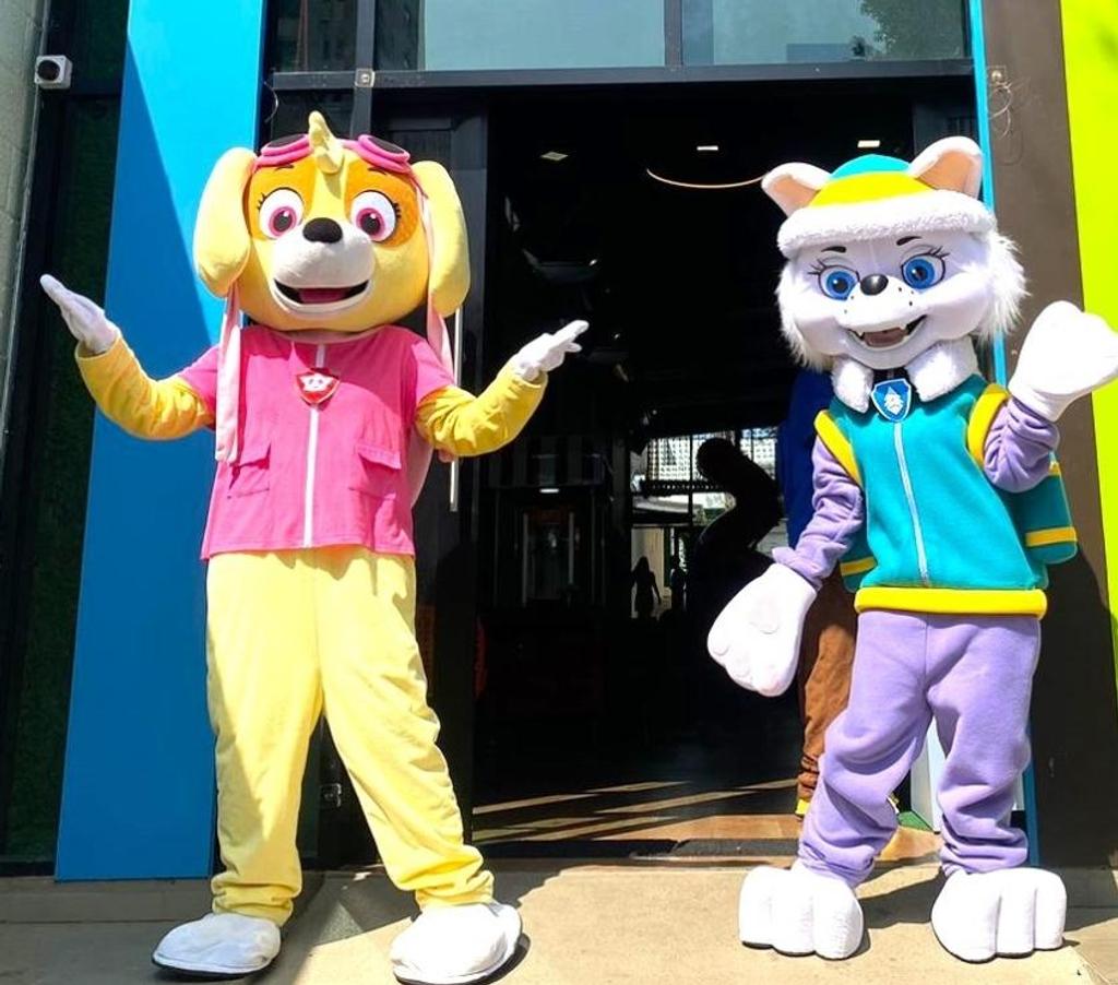 Serviços para eventos Sao Paulo SP Aricanduva - Fotos para Festa Skye patrulha personagens vivos cover