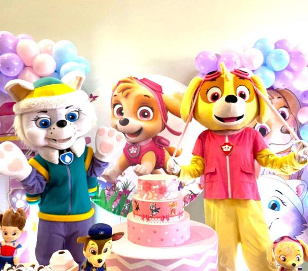 Serviços para eventos Sao Paulo SP Aricanduva - Fotos para Festa Skye patrulha personagens vivos cover