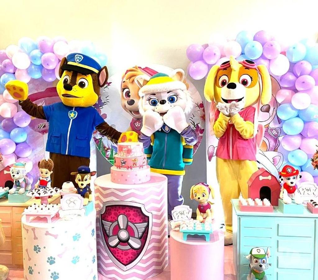 Serviços para eventos Sao Paulo SP Aricanduva - Fotos para Festa Skye patrulha personagens vivos cover