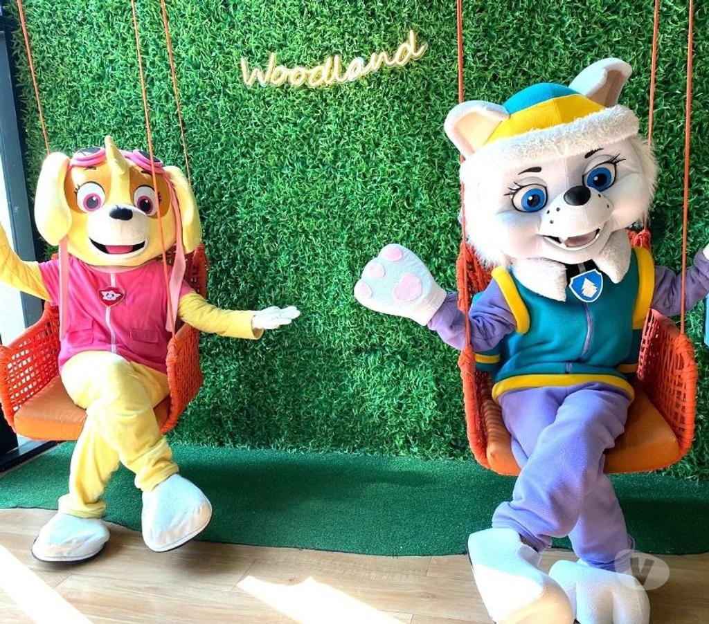 Serviços para eventos Sao Paulo SP Aricanduva - Fotos para Festa Skye patrulha personagens vivos cover