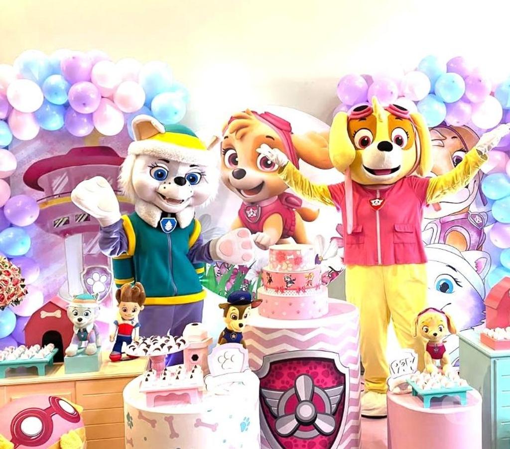 Serviços para eventos Sao Paulo SP Aricanduva - Fotos para Festa Skye patrulha personagens vivos cover