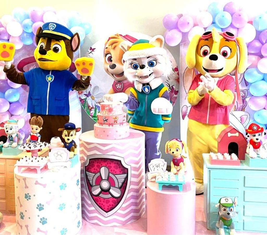 Serviços para eventos Sao Paulo SP Aricanduva - Fotos para Festa Skye patrulha personagens vivos cover