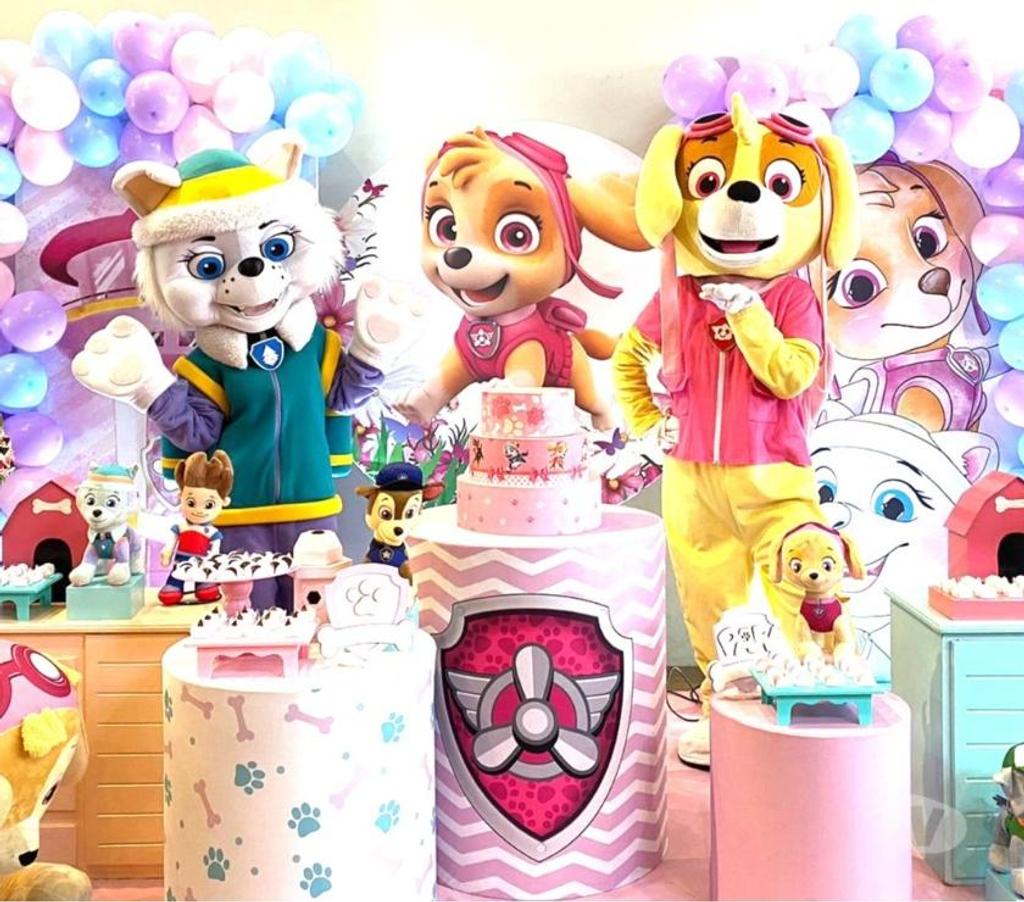 Serviços para eventos Sao Paulo SP Aricanduva - Fotos para Festa Skye patrulha personagens vivos cover