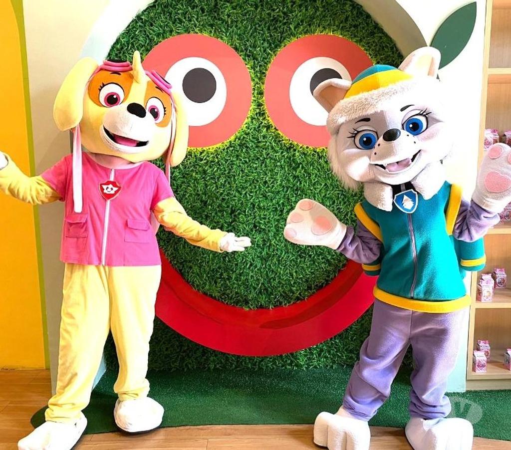 Serviços para eventos Sao Paulo SP Aricanduva - Fotos para Festa Skye patrulha personagens vivos cover