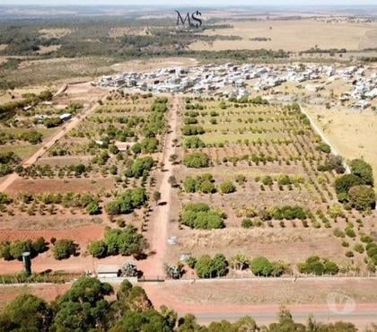 Terrenos - Fotos para Lote(chácara) condomínio fechado - Santa Maria-DF
