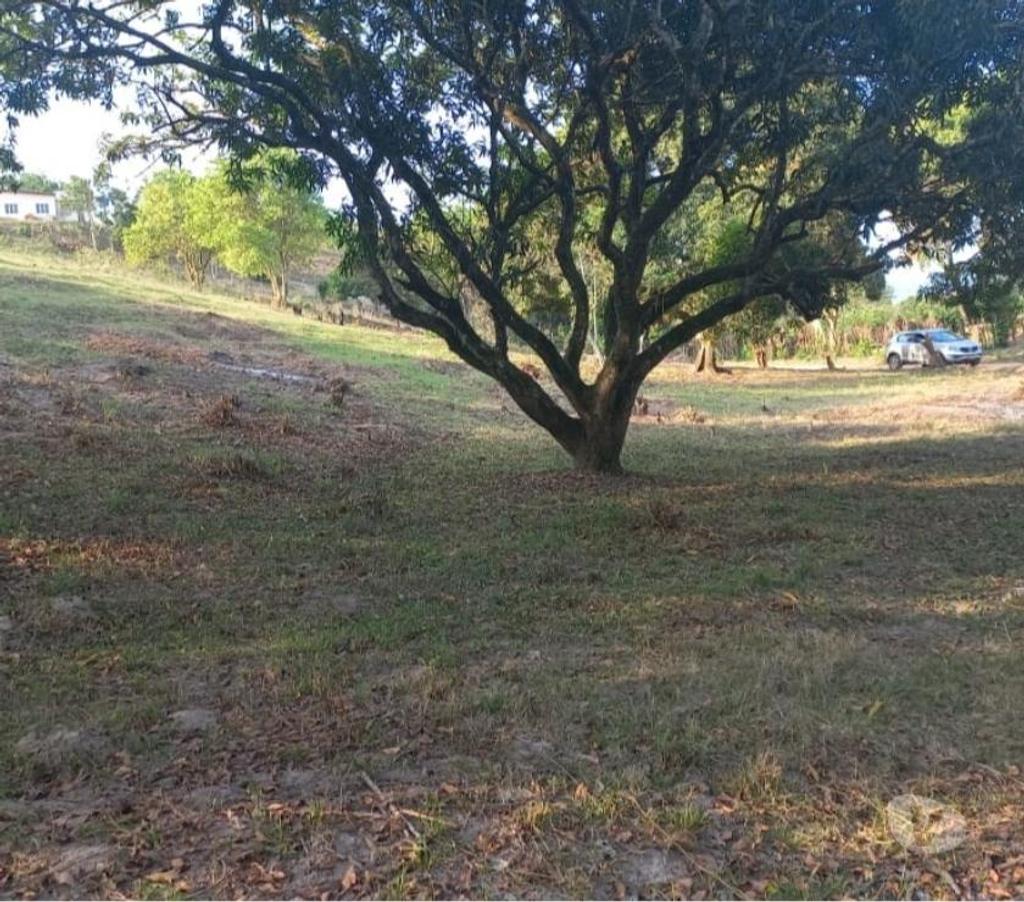 Terrenos Tangua RJ - Fotos para Vendo terreno em Tanguá - Cidade satélite