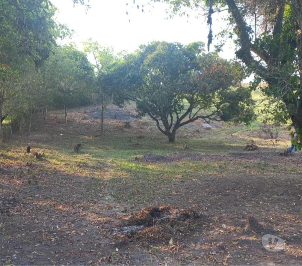 Terrenos Tangua RJ - Fotos para Vendo terreno em Tanguá - Cidade satélite