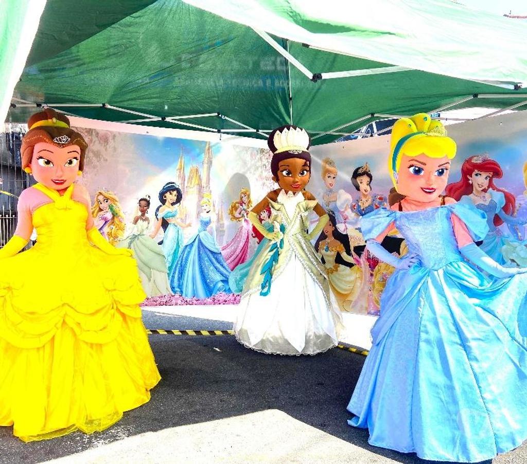 Serviços para eventos Sao Paulo SP Mooca - Fotos para Cinderela Princesa cover personagens vivos festa infantil