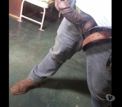 Encontros Casuais - Fotos para Anaconda negra cabeça de cogumelo