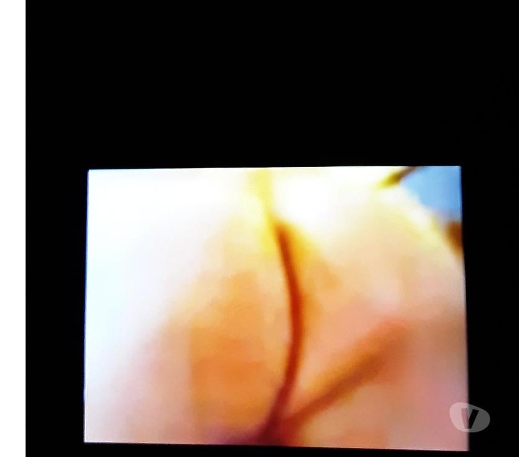 Encontros Casuais Sao Jose dos Campos SP - Fotos para Procuro Ativo Acima 55 anos