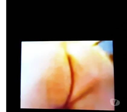 Encontros Sexuais - Fotos para Procuro Ativo Acima 55 anos